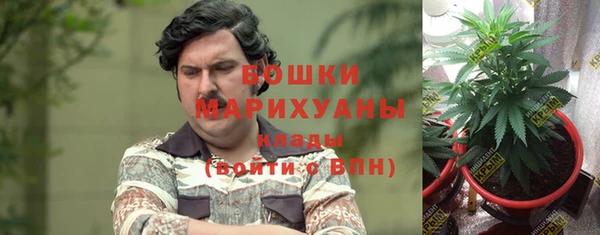 ГАЛЛЮЦИНОГЕННЫЕ ГРИБЫ Аркадак