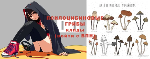 мдпв Арсеньев