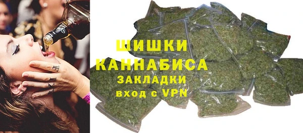 ГАЛЛЮЦИНОГЕННЫЕ ГРИБЫ Аркадак