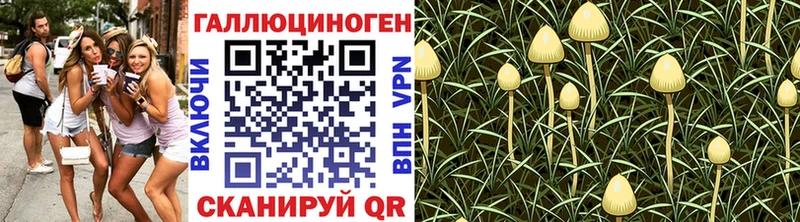 Псилоцибиновые грибы GOLDEN TEACHER  наркошоп  Среднеколымск 